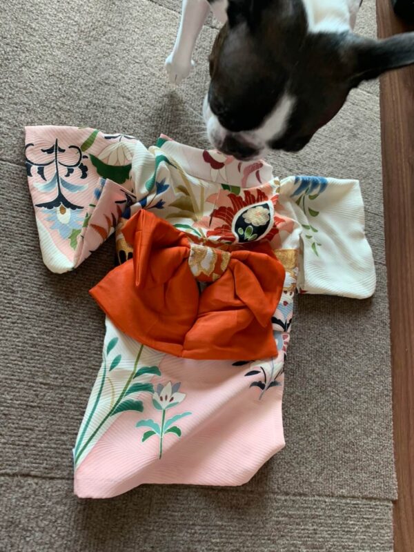 付け下げをペットの服