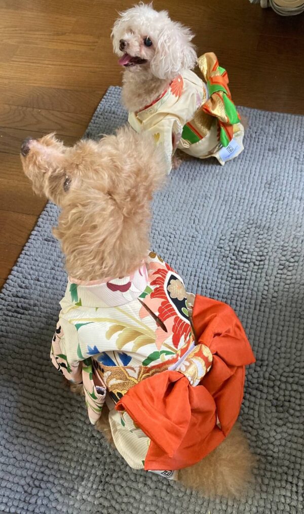 帯をペットの服2