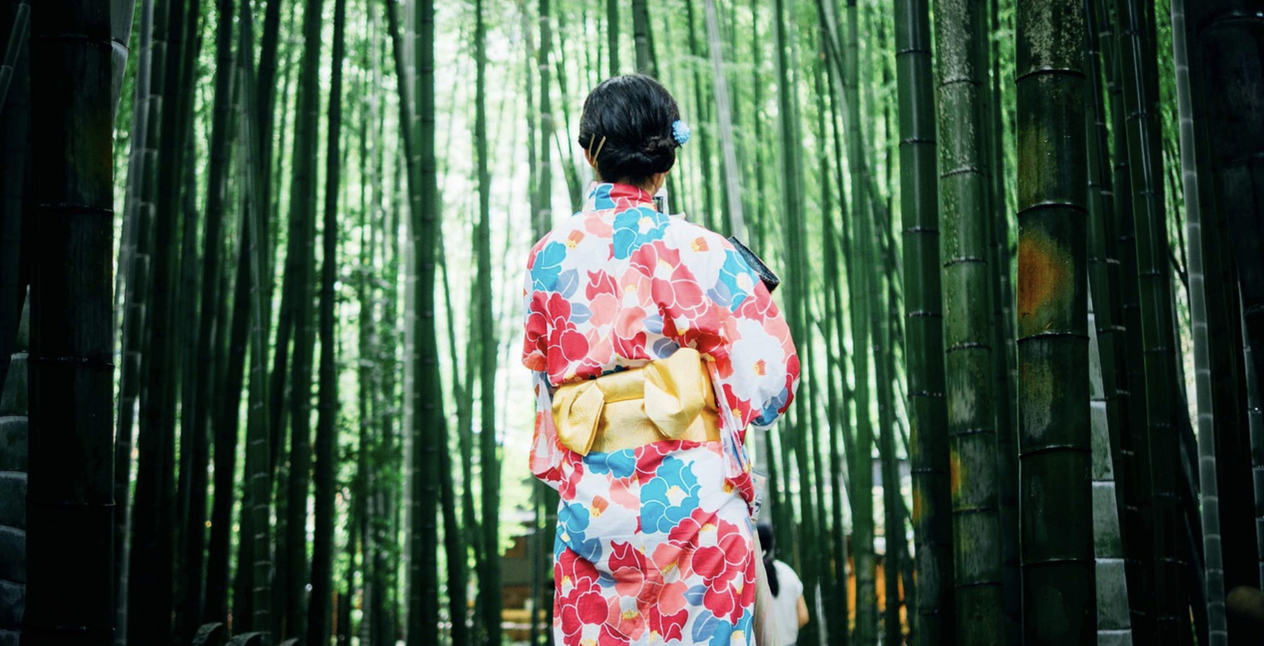 日本の文化を楽しむ着物を着る趣味・習い事の内容とかかる費用を解説