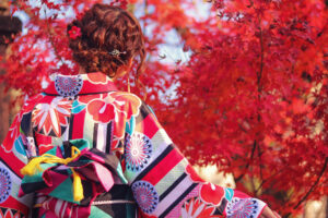 【染め】と【織り】の着物って何が違うの？