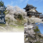 4/3(水)開催!春のお出かけ会 in 大和郡山市のご案内