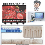 【告知】4/26(日)〜28(火)開催『血流チェック＆健康アドバイス』