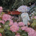 雨の日の着物の注意点｜泥はね対策と濡れた時の正しい対処法