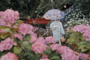雨の日の着物の注意点｜泥はね対策と濡れた時の正しい対処法