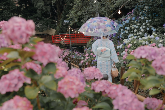 雨の日の着物の注意点｜泥はね対策と濡れた時の正しい対処法